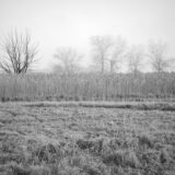 Photo Morning meditation