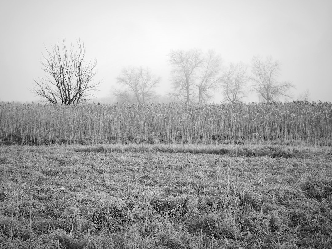 Small Daily Practices to Rebuild Your Resilience