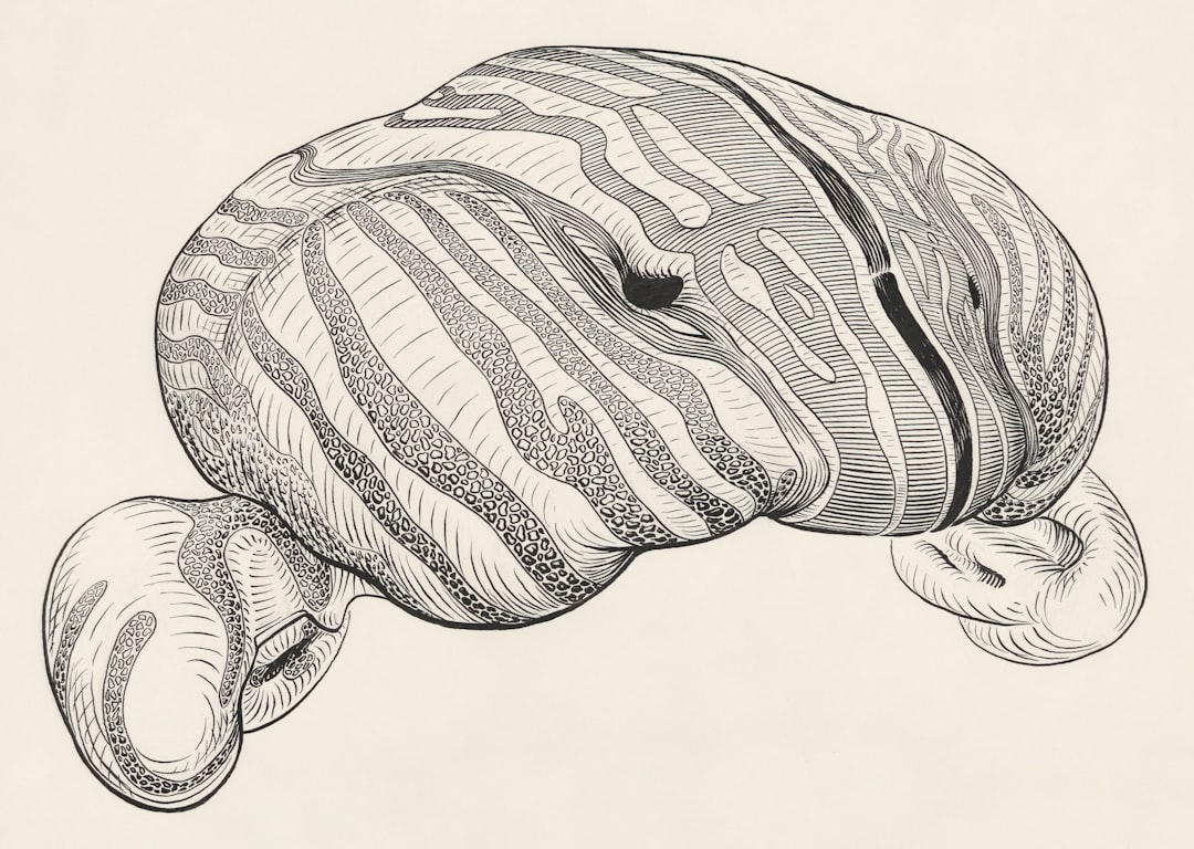 What the Nervous System Needs to Feel Safe