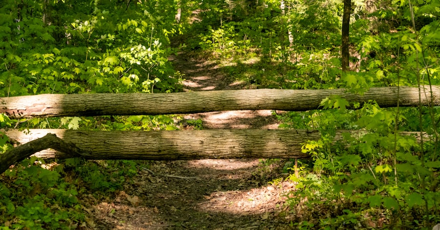 Healthy boundaries