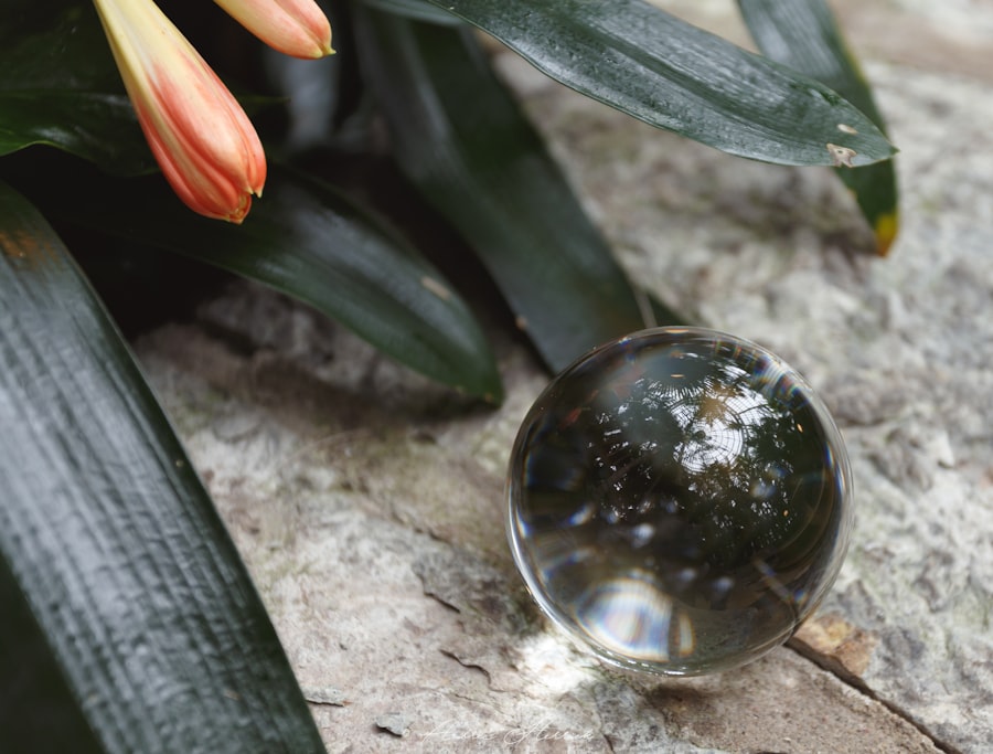 Self-compassion