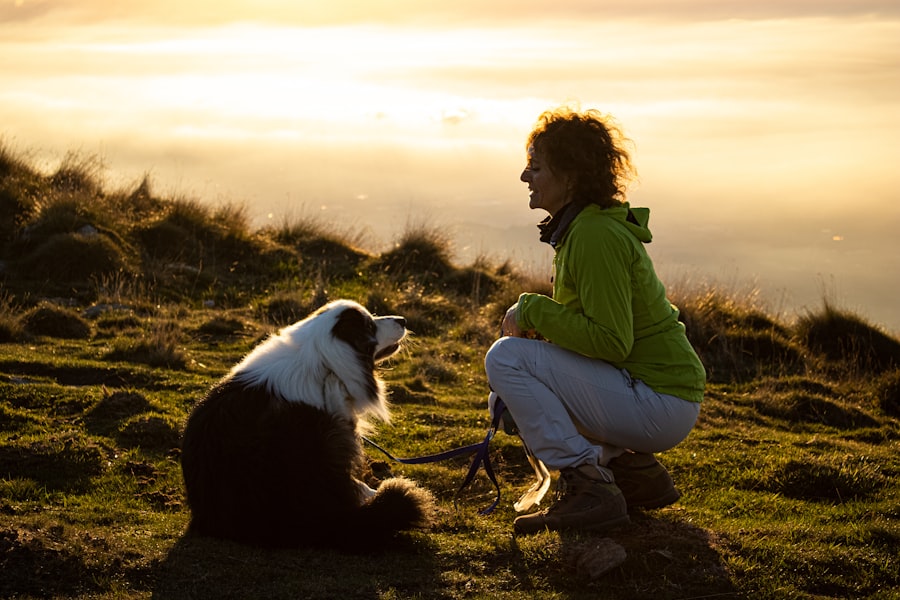 Compassionate listening