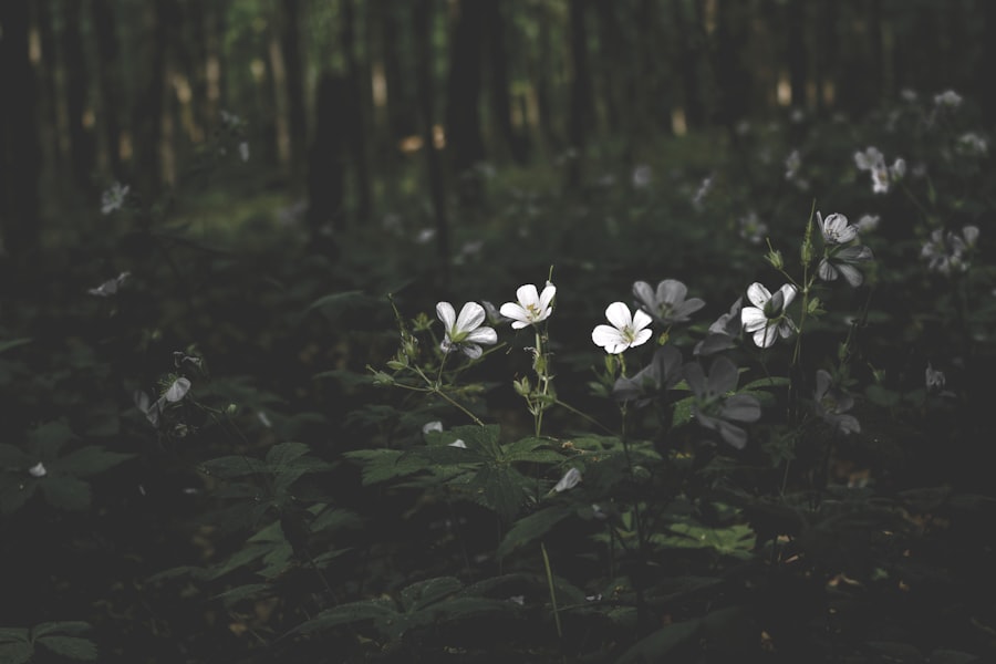 Sensitive nature