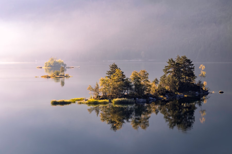 Photo Peaceful nature