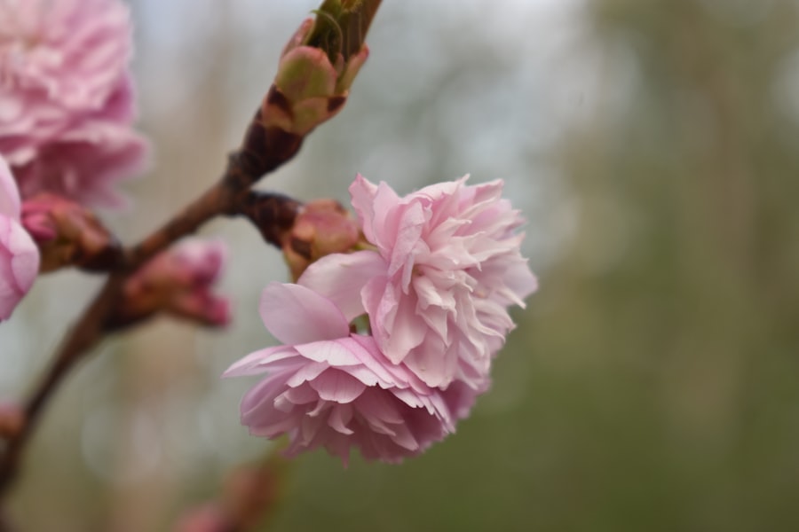 Photo Self-compassion