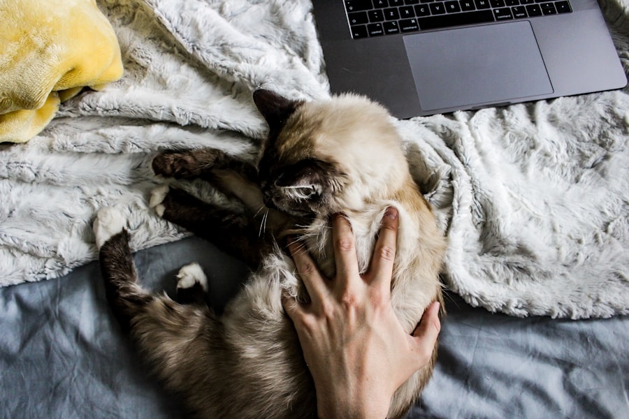 Productivity Trauma