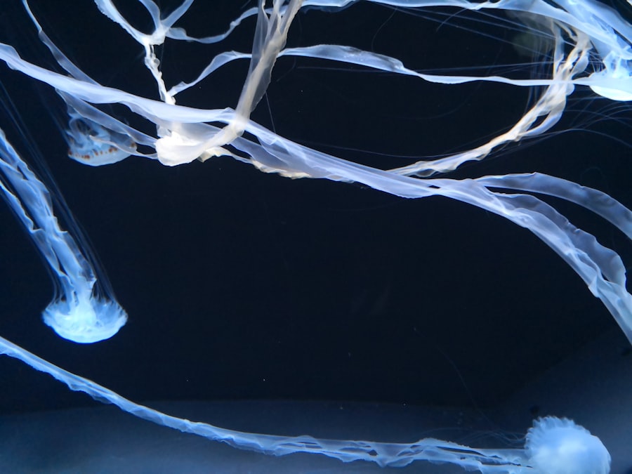 Nervous System Care