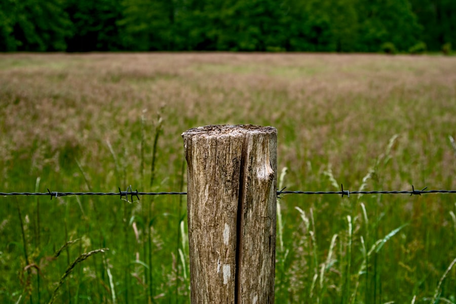Embodied Boundaries