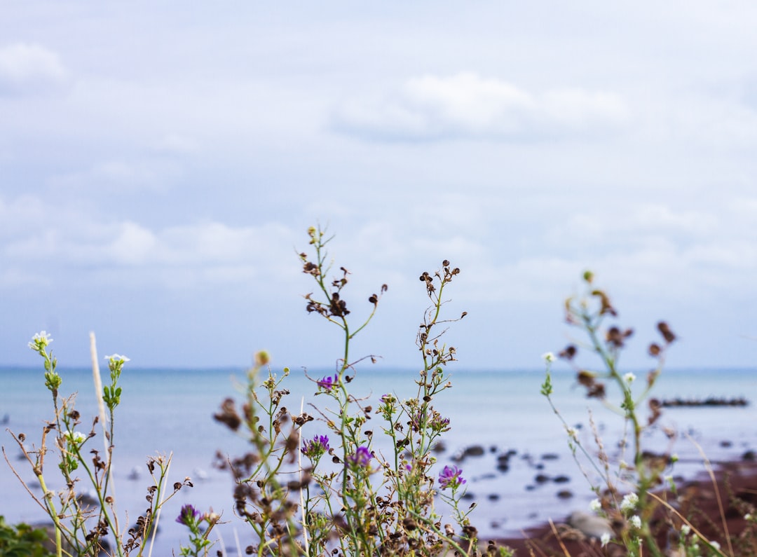How to Build Resilience Without Burning Out