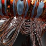 Photo Nervous System Response