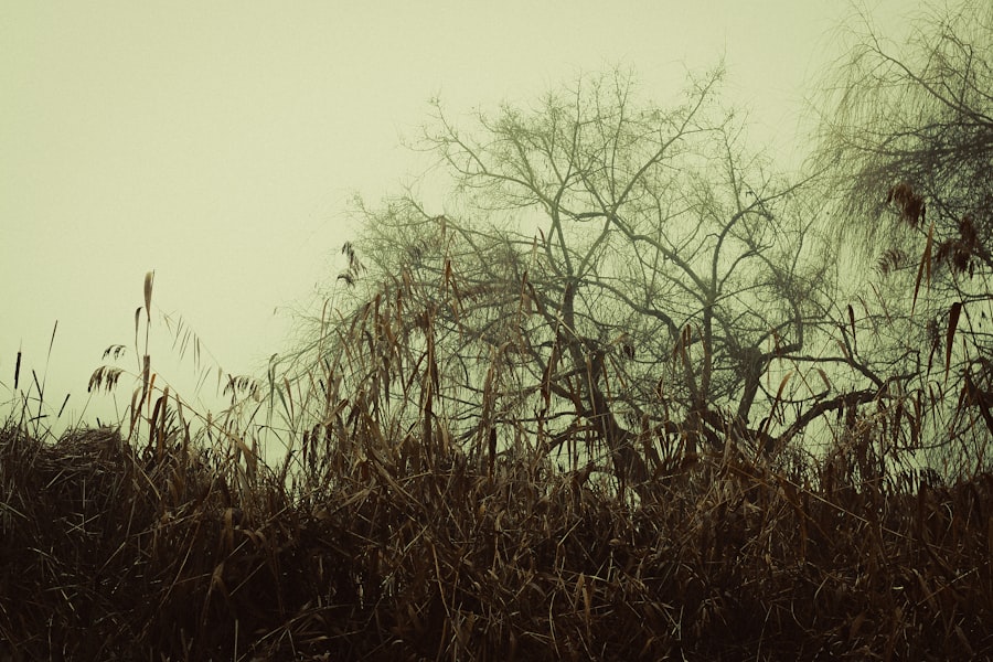 Photo Restlessness