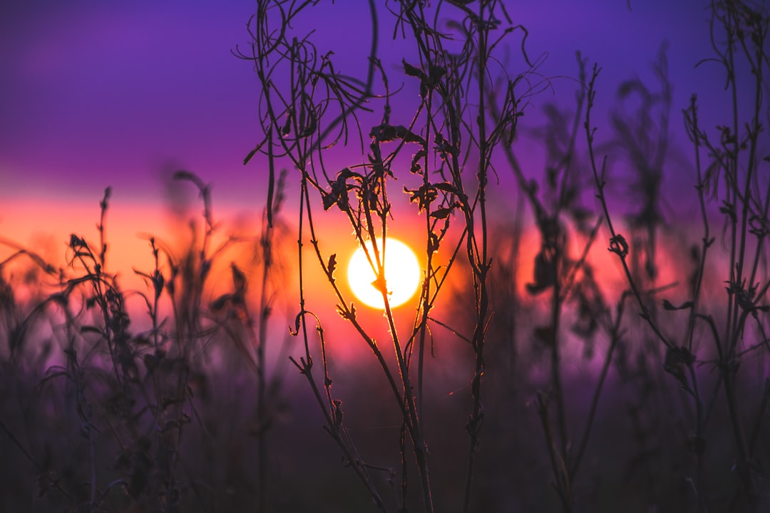 Healing From Within Systems That Didn’t See You