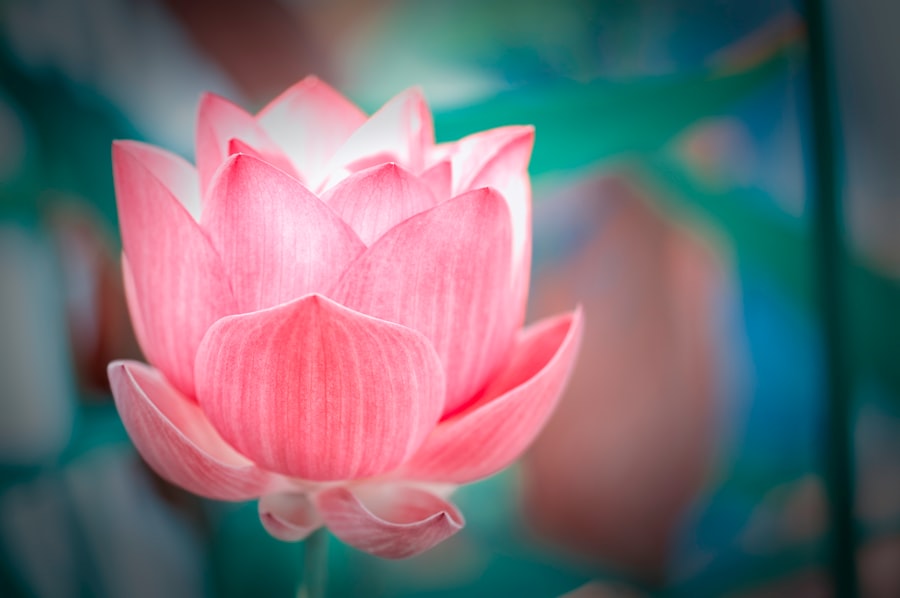 Cultivate Inner Belonging