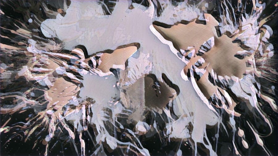 Photo Somatic Reframe