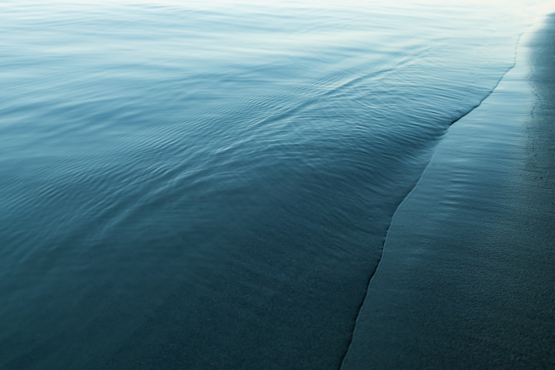 The Role of Stillness in Somatic Recovery