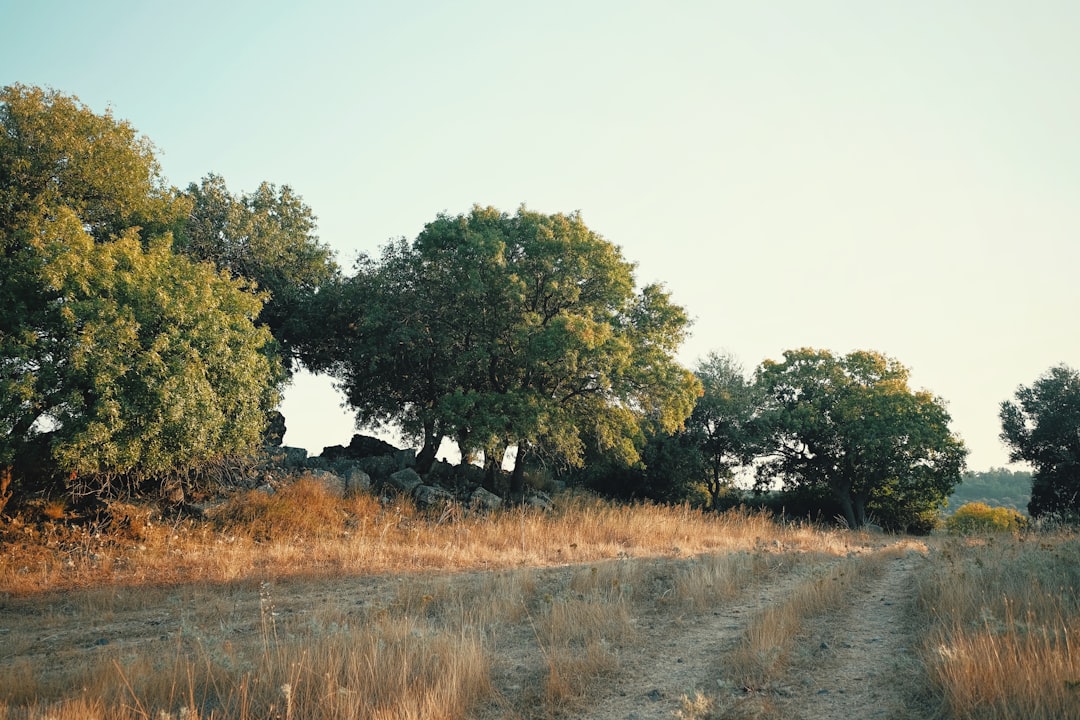 What It Means to “Land” in Your Body