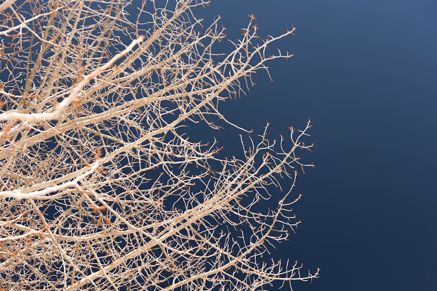 Environment Shapes Nervous System