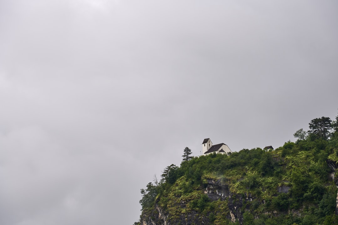 Understanding the Fawn Response: People-Pleasing as Survival