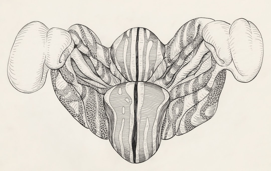 Your Nervous System Can’t Be “Fixed”—But It Can Be Supported