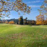 Photo Somatic Healing