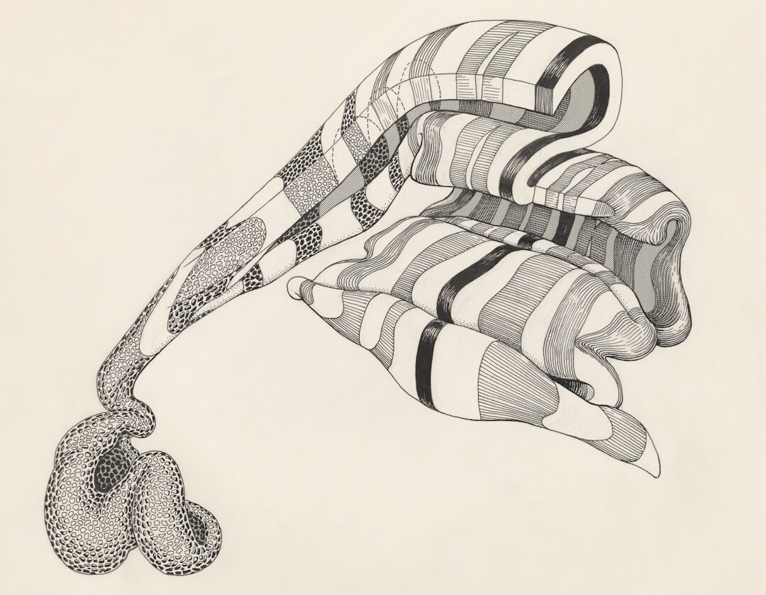 Your Nervous System Might Be Misreading Safety