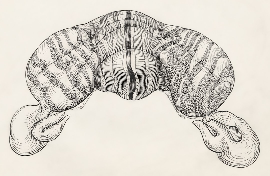 Your Nervous System Doesn’t Speak in Words