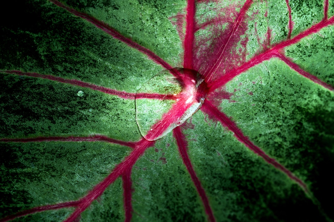 How Your Environment Shapes Your Nervous System