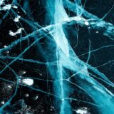 Photo Heal Nervous System