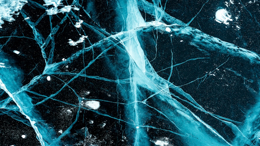 Photo Nervous System