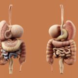 Photo Nervous System