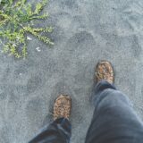 Photo Ground Yourself