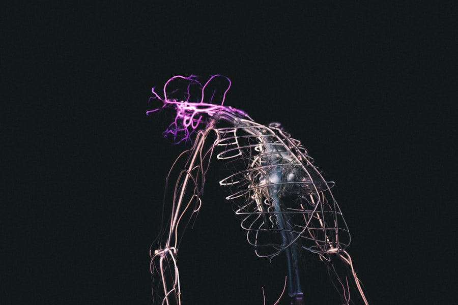 Nervous System Relationships