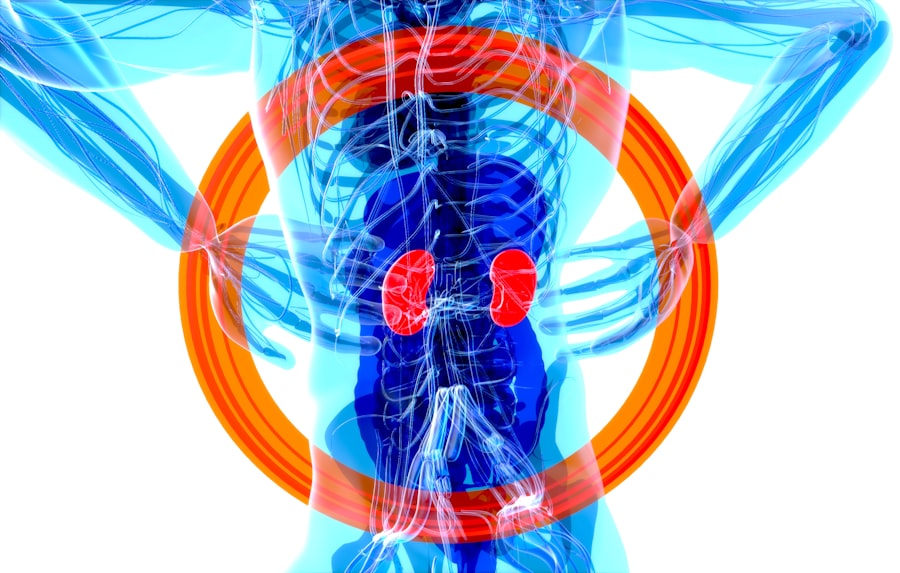 Nervous System Regulation