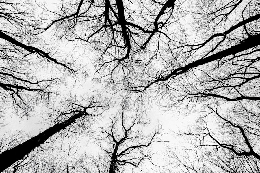 Nervous System