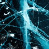 Photo Nervous System