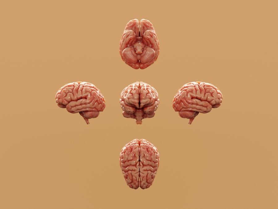 Photo Nervous System