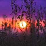 Photo Healing