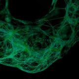 Photo Support Nervous System