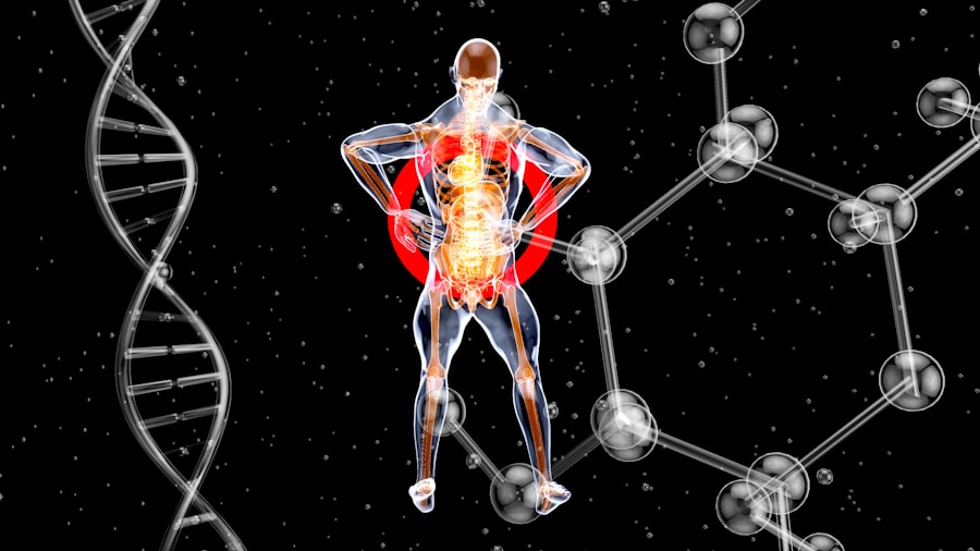 Photo Support Nervous System