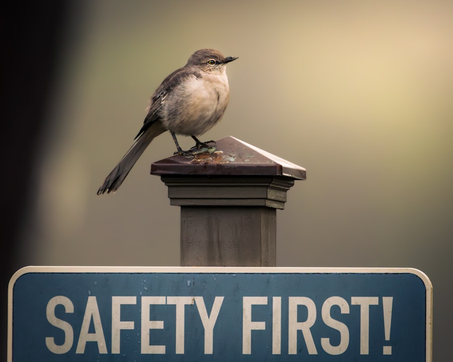Photo Inner Safety